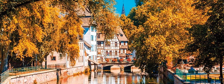 Autumnal foliage lining the river in Strasbourg, France
